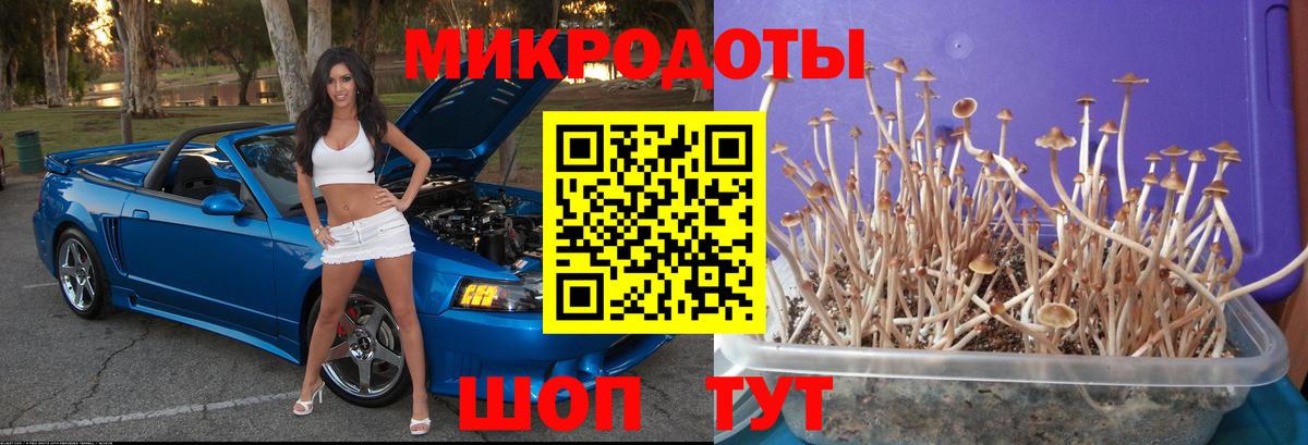 Смоленск  Галлюциногенные грибы прущие грибы  Вход с VPN 